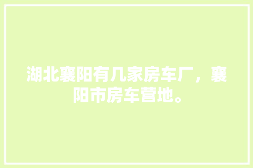 10034错误代码背后的真相与应对步骤