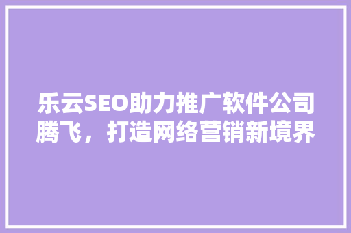 乐云SEO助力推广软件公司腾飞，打造网络营销新境界
