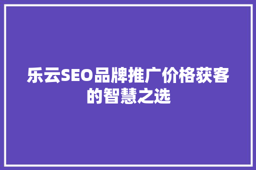 乐云SEO品牌推广价格获客的智慧之选