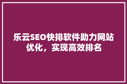 乐云SEO快排软件助力网站优化，实现高效排名