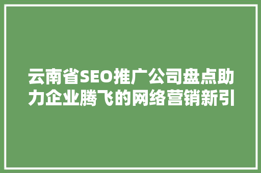 云南省SEO推广公司盘点助力企业腾飞的网络营销新引擎