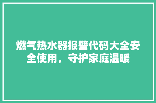 燃气热水器报警代码大全安全使用，守护家庭温暖  第1张