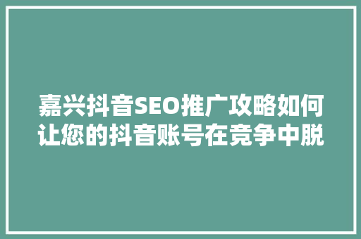 嘉兴抖音SEO推广攻略如何让您的抖音账号在竞争中脱颖而出