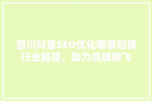四川抖音SEO优化哪家划算行业翘楚，助力品牌腾飞