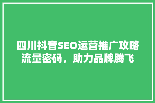四川抖音SEO运营推广攻略流量密码，助力品牌腾飞