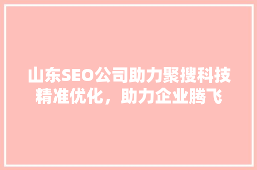 山东SEO公司助力聚搜科技精准优化，助力企业腾飞