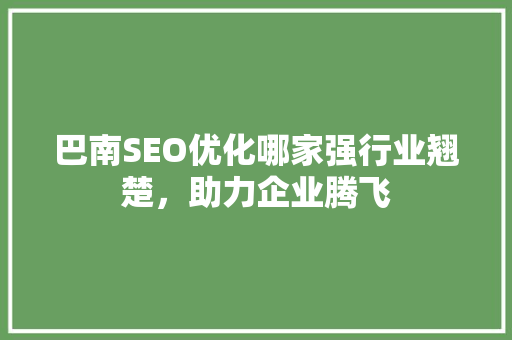 巴南SEO优化哪家强行业翘楚，助力企业腾飞