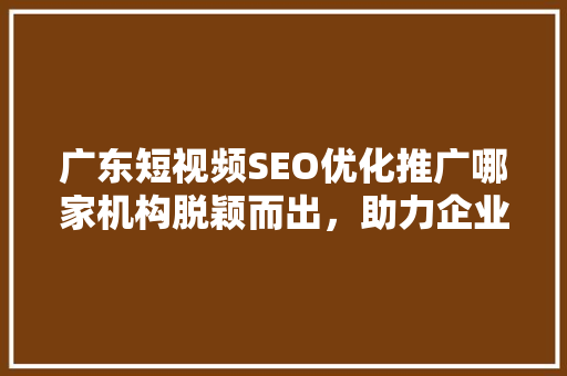 广东短视频SEO优化推广哪家机构脱颖而出，助力企业品牌腾飞