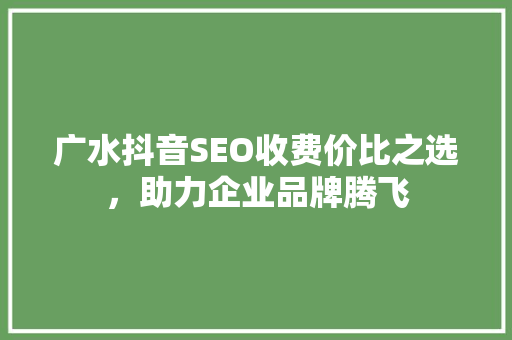 广水抖音SEO收费价比之选，助力企业品牌腾飞