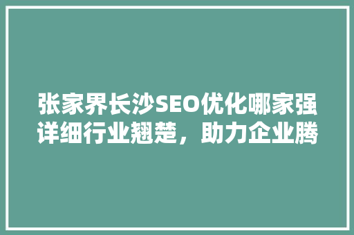 张家界长沙SEO优化哪家强详细行业翘楚，助力企业腾飞