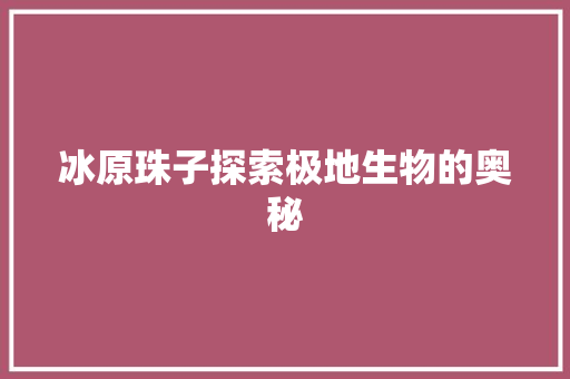 冰原珠子探索极地生物的奥秘