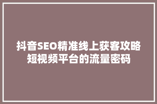 抖音SEO精准线上获客攻略短视频平台的流量密码