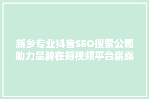 新乡专业抖音SEO搜索公司助力品牌在短视频平台崭露头角