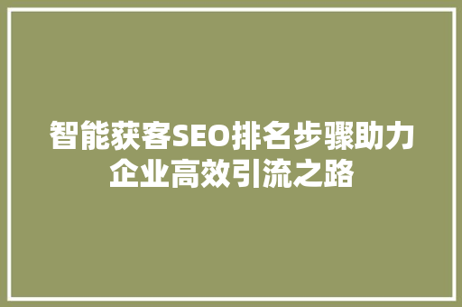 智能获客SEO排名步骤助力企业高效引流之路