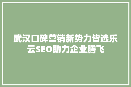 武汉口碑营销新势力皆选乐云SEO助力企业腾飞
