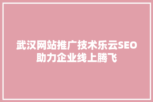 武汉网站推广技术乐云SEO助力企业线上腾飞