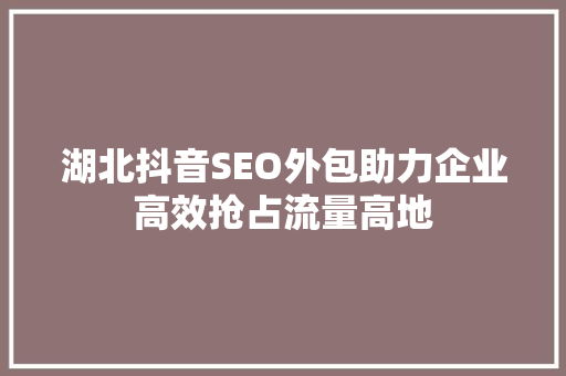 湖北抖音SEO外包助力企业高效抢占流量高地