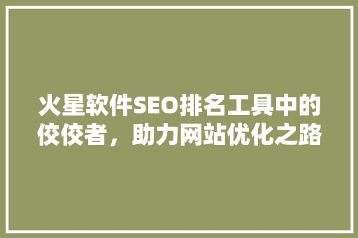 火星软件SEO排名工具中的佼佼者，助力网站优化之路