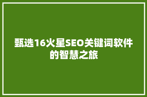 甄选16火星SEO关键词软件的智慧之旅