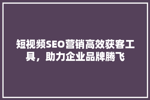 短视频SEO营销高效获客工具，助力企业品牌腾飞