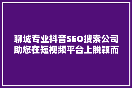 聊城专业抖音SEO搜索公司助您在短视频平台上脱颖而出