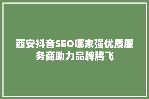 西安抖音SEO哪家强优质服务商助力品牌腾飞