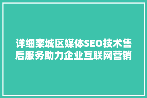 详细栾城区媒体SEO技术售后服务助力企业互联网营销腾飞