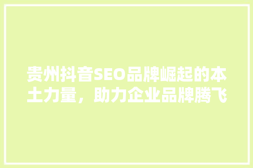 贵州抖音SEO品牌崛起的本土力量，助力企业品牌腾飞