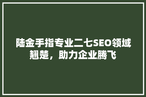 陆金手指专业二七SEO领域翘楚，助力企业腾飞