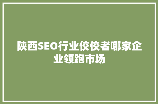 陕西SEO行业佼佼者哪家企业领跑市场