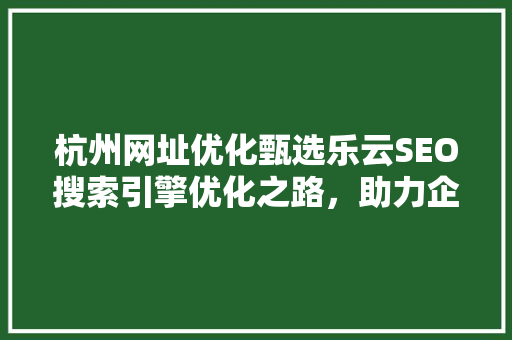杭州网址优化甄选乐云SEO搜索引擎优化之路，助力企业腾飞