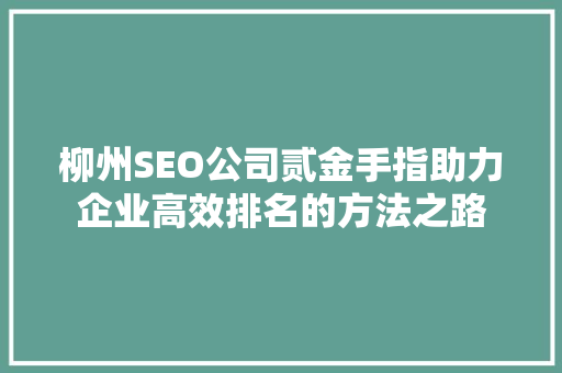 柳州SEO公司贰金手指助力企业高效排名的方法之路