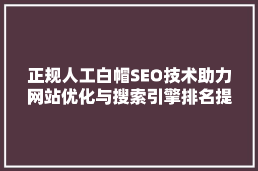 正规人工白帽SEO技术助力网站优化与搜索引擎排名提升
