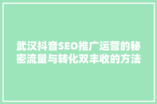 武汉抖音SEO推广运营的秘密流量与转化双丰收的方法