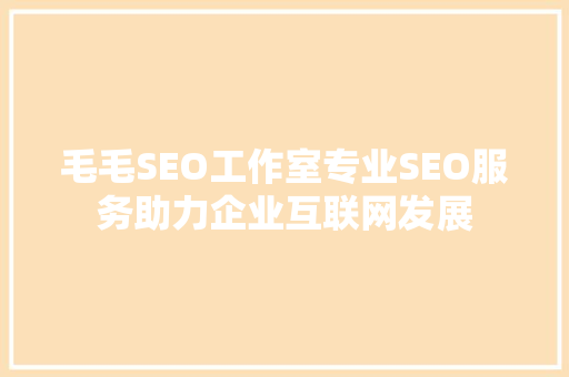 毛毛SEO工作室专业SEO服务助力企业互联网发展