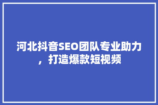 河北抖音SEO团队专业助力，打造爆款短视频