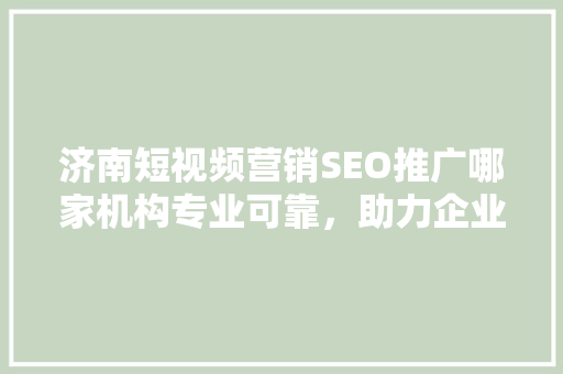 济南短视频营销SEO推广哪家机构专业可靠，助力企业品牌腾飞