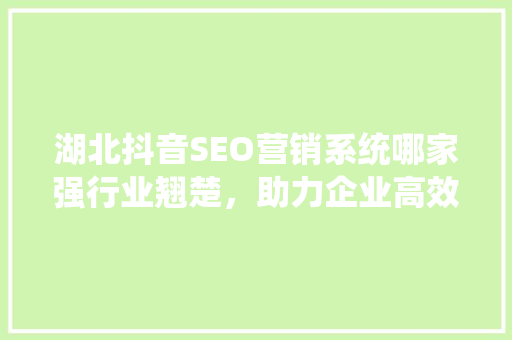 湖北抖音SEO营销系统哪家强行业翘楚，助力企业高效传播