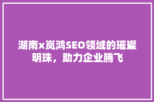 湖南x岚鸿SEO领域的璀璨明珠，助力企业腾飞