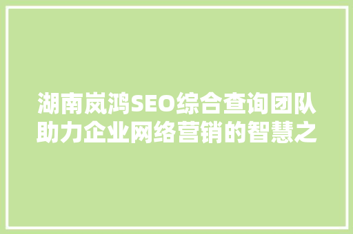湖南岚鸿SEO综合查询团队助力企业网络营销的智慧之选