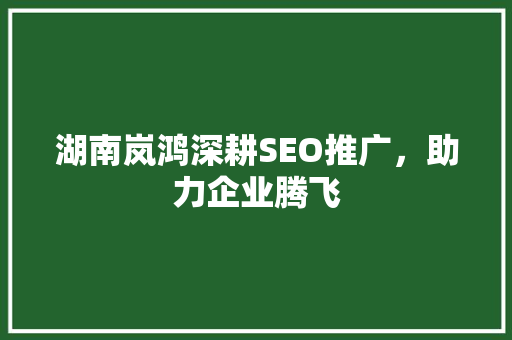 湖南岚鸿深耕SEO推广，助力企业腾飞