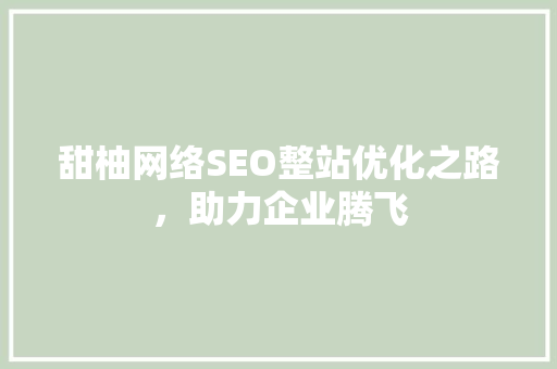 甜柚网络SEO整站优化之路，助力企业腾飞