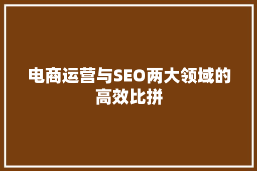 电商运营与SEO两大领域的高效比拼