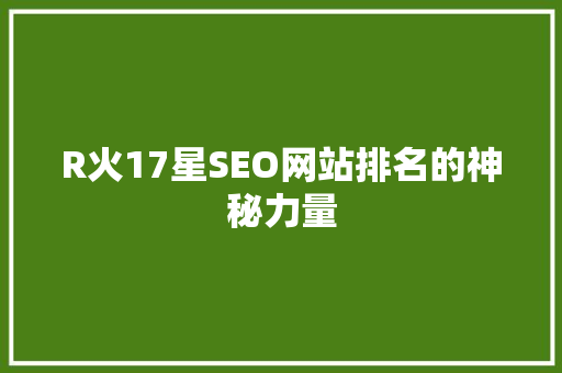 R火17星SEO网站排名的神秘力量