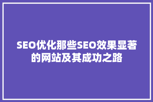 SEO优化那些SEO效果显著的网站及其成功之路