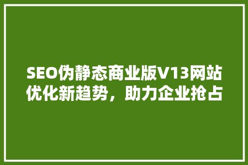 SEO伪静态商业版V13网站优化新趋势，助力企业抢占市场先机