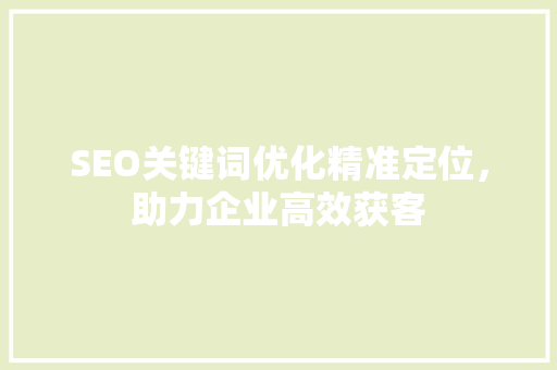 SEO关键词优化精准定位，助力企业高效获客