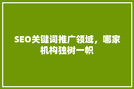 SEO关键词推广领域，哪家机构独树一帜