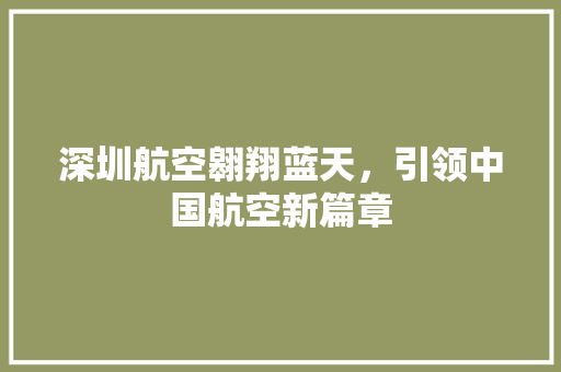 深圳航空翱翔蓝天，引领中国航空新篇章