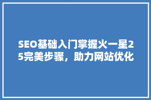 SEO基础入门掌握火一星25完美步骤，助力网站优化